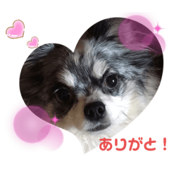 [LINEスタンプ] ピース＆モフ