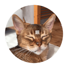[LINEスタンプ] cat0032 vol. 1
