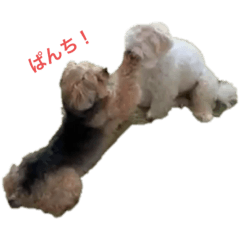[LINEスタンプ] らんちっぷの日常①