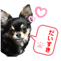 [LINEスタンプ] ゆめタン