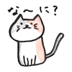 [LINEスタンプ] 君の生活をサポートしてくれる猫！