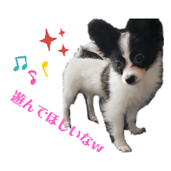 [LINEスタンプ] りんちゃんだよ～5