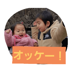 [LINEスタンプ] はるひよはるひよはるひよ