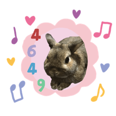 [LINEスタンプ] 我らのアイドルanimals