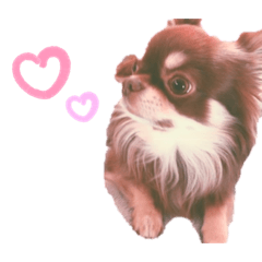 [LINEスタンプ] らむお。