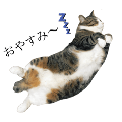 [LINEスタンプ] でぶれんスタンプ