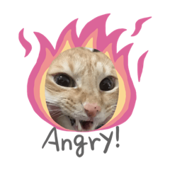 [LINEスタンプ] みるくる