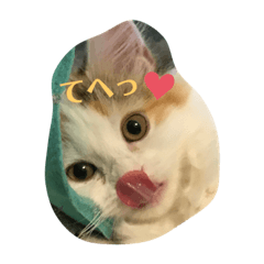 [LINEスタンプ] うちのもね
