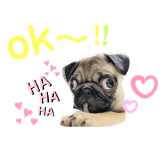 [LINEスタンプ] 茶豆さん