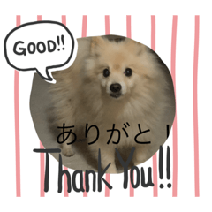 [LINEスタンプ] ムクムクのムクスタンプ