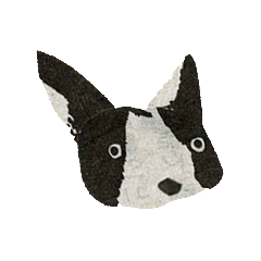 [LINEスタンプ] マスダカルシの犬猫スタンプの画像（メイン）