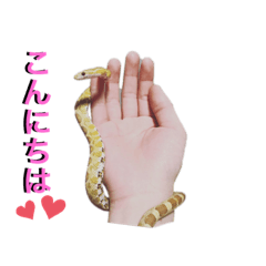 [LINEスタンプ] ☆☆my family☆☆