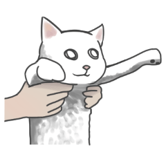 [LINEスタンプ] 余分な長い猫
