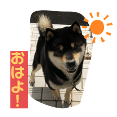 [LINEスタンプ] まめすけすたんぷ2