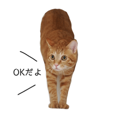 [LINEスタンプ] フレッドとジョージ