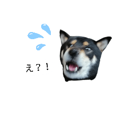 [LINEスタンプ] サスケ＆はる
