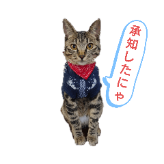 [LINEスタンプ] 猫店長ロンロン