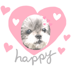 [LINEスタンプ] 大川家のアイドル