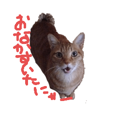 [LINEスタンプ] うちのごんぞうさん