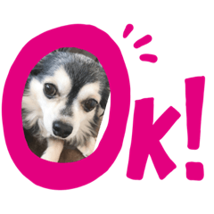 [LINEスタンプ] 今日のワンコちゃん