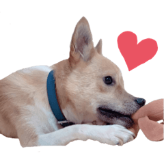 [LINEスタンプ] だいず兄弟
