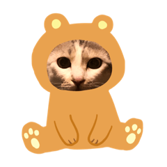 [LINEスタンプ] めいくる合戦