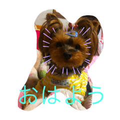 [LINEスタンプ] うちの愛犬ベールちゃん