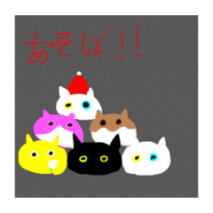 [LINEスタンプ] ここちゃんの丸猫スタンプ♫