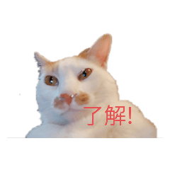 [LINEスタンプ] レオマロ