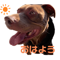 [LINEスタンプ] エリック_0830
