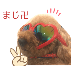 [LINEスタンプ] riku:STAMP
