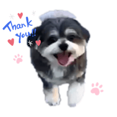 [LINEスタンプ] 阿部家の仲間たち