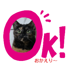 [LINEスタンプ] Rin momo coco2