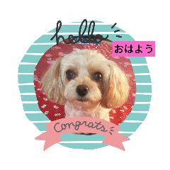 [LINEスタンプ] メロンちゃんラブリースタンプ