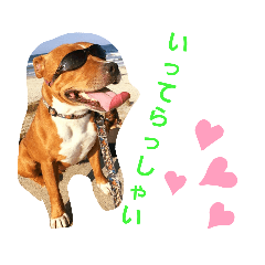 [LINEスタンプ] BOSSちゃんno.1