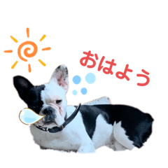 [LINEスタンプ] 今日も一日ぷぷちゃん