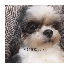 [LINEスタンプ] ココオトすたんぷ。