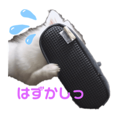 [LINEスタンプ] 日本スピッツ 音ちゃんのスタンプ