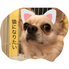 [LINEスタンプ] Rhye