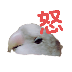 [LINEスタンプ] コザクラインのいわし