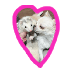 [LINEスタンプ] はなちゃん＆ふうたくん