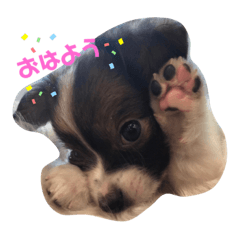[LINEスタンプ] くぅーのつぶやき