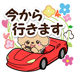 [LINEスタンプ] トイプードル(アプリコット)[優しい返信編]