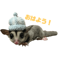 [LINEスタンプ] フクロモモンガのももくんとちびちゃん
