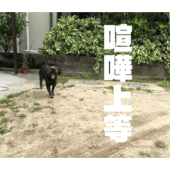 [LINEスタンプ] ぷーの日常スタンプ