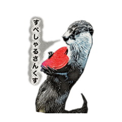 [LINEスタンプ] こんぶと仲間のハッピーライフ