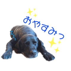 [LINEスタンプ] もきちくん