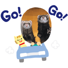 [LINEスタンプ] わがやのかわいいふぇれっと