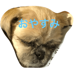 [LINEスタンプ] 村田コーラーチェーの日常