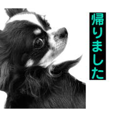 [LINEスタンプ] ショコラ ＆ マカロン  ②
